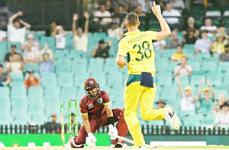 Josh Hazlewood clean bowled Shai Hope • Feb 04, 2024 • Cricket Australia/Getty Images