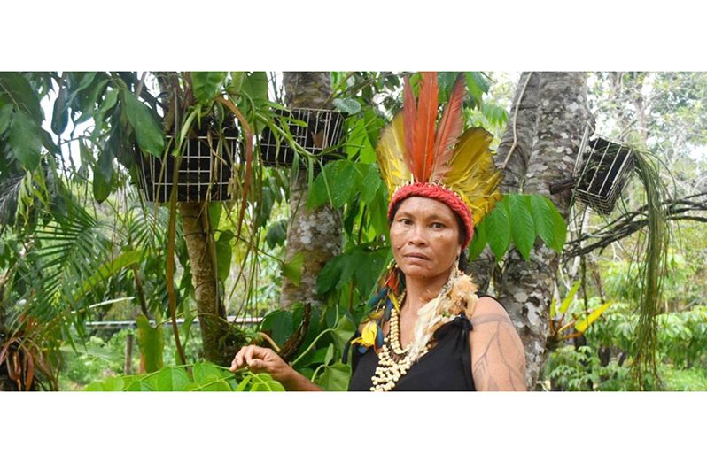 Lutana Ribeiro is the only female chief of Parque das Tribos, an indigenous neighbourhood in Manaus, the capital of Brazil’s Amazonas state (UNFPA Brazil/Isabela Martel)