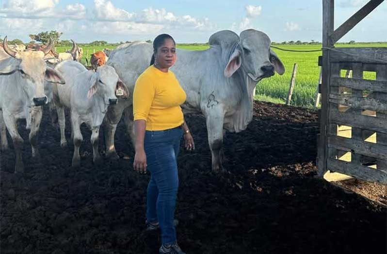 Dianne Cheefoon, Region Five’s leading female cattle rancher. She credits the GLDA’s programme with transforming her operations