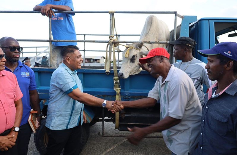 Cattle farmers from Belladrum have benefitted from the Ministry of Agriculture’s improved genetic material programme