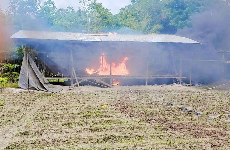 Makeshift camp and cannabis being destroyed by the police on Wednesday