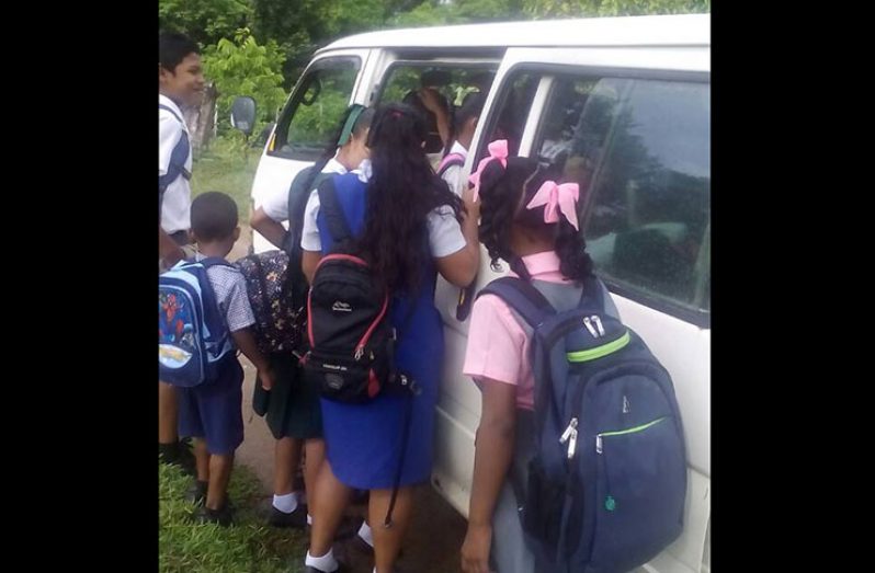 Some of the schoolchildren entering the bus that takes them to school