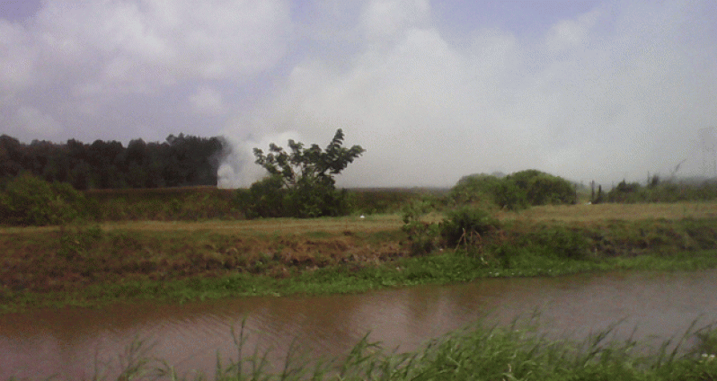 Bush fires are a constant feature in the countryside