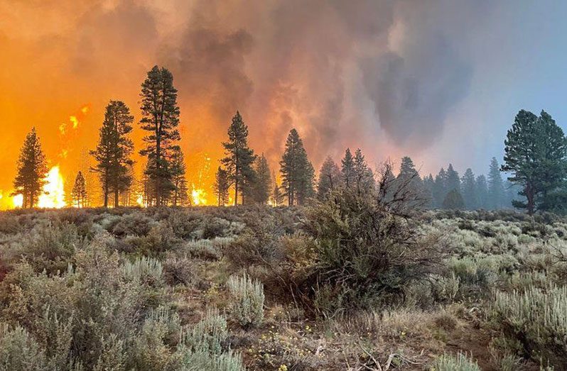 The Bootleg fire in Oregon is the largest of 300 others raging in the US (BBC photo)