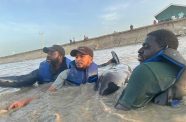 Elford Liverpool, Mark Ram, and Eric Stoll from the University of Guyana at the Buxton Foreshore assisting in the rescue of a stranded whale