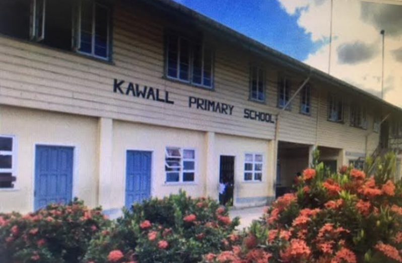 The Kawall Primary School, Canal No.2; clean, green and floral  (Photo by FQ Farrier)