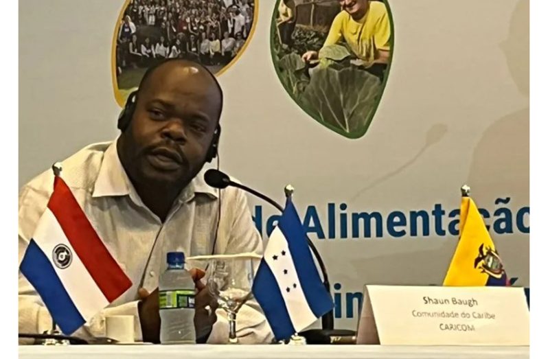 Programme Manager for Agricultural and Agro-Industrial Development at the CARICOM Secretariat, Shaun Baugh