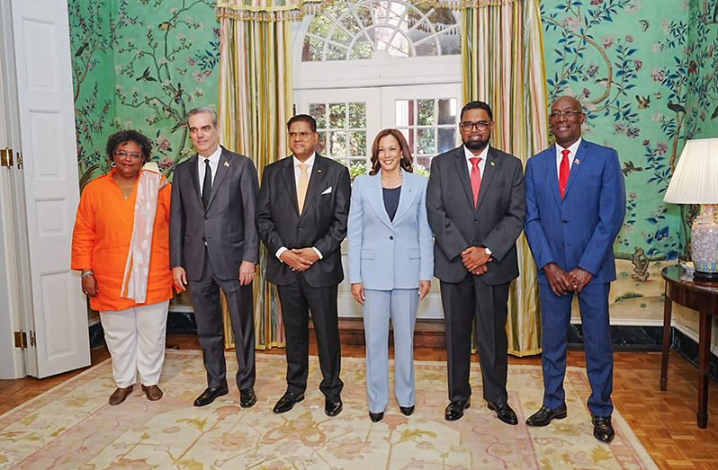 President, Dr Irfaan Ali and US Vice-President Kamala Harris with Prime Minister of Trinidad and Tobago, Dr Keith Rowley;  President of Suriname, Chandrikapersad Santokhi; President of The Dominican Republic, Luis Abinader and Prime Minister of Barbados, Mia Mottley in Washington (Office of the President photo)