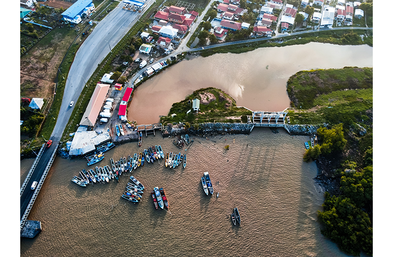 The loan is set to advance Guyana’s climate response and strengthen its natural resource management architecture (CDB/Shutterstock photo)