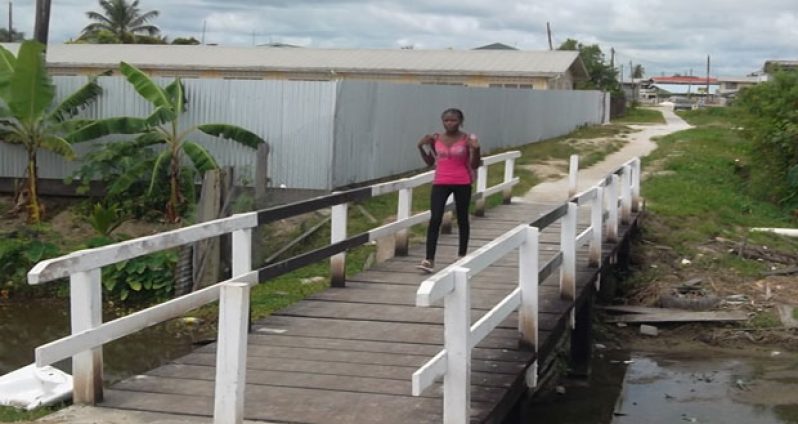 The timber footpath bridge linking the communities of Kaneville and Samatta Point, East Bank Demerara