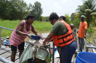 Chairperson of the Strong Hope Success Enterprise group assists Junior Minister of Public Infrastructure, Annette Ferguson in removing the milk from the shredded coconut