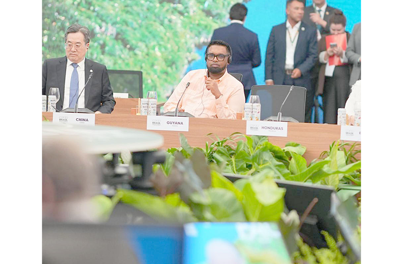 Dr. Irfaan Ali during one of several discussions he’s had at the ongoing climate summit being held in Belém, Brazil (Office of the President photo)