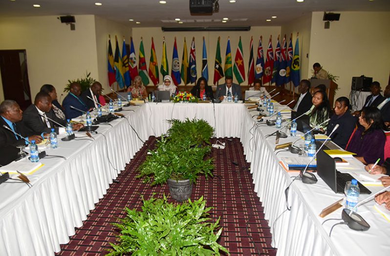 The 43rd Meeting of the Council for Trade and Economic Development (COTED) in session