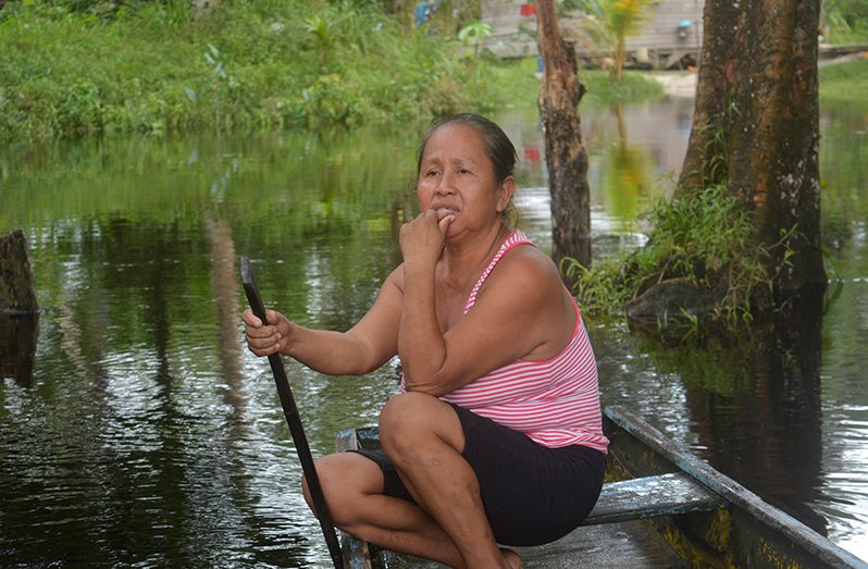 Fifty-three-year-old Daphne Spellingburg is
contented living by the Kara Kara Creek. Her
house is connected to Speightland Village in
Linden via a wooden bridge, but due to the
flood conditions, she had to use a paddleboat
to get across the creek. (Carl Croker photo).