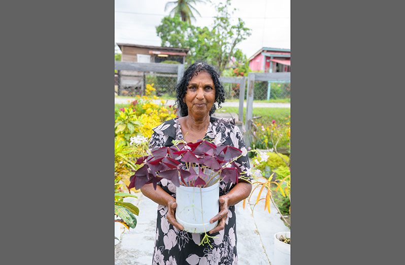 71-year-old Rosignol resident Bibi Isha Naziram has been living in the village for 43 years and is well known in the community for her yard of flourishing flowers and potted plants that attract many persons to her yard. Naziram is also generous with her plants and admits that she can’t say no when people ask her for them (Delano Williams photo).