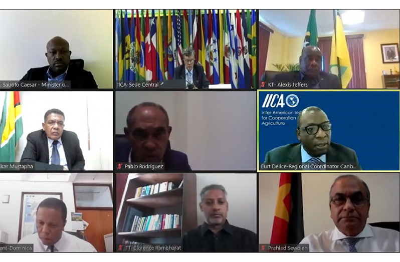 The high-level authorities were participating in IICA’s virtual 2020 Regional Accountability Seminar, which gave an overview of the hemispheric organisation’s actions to support the Caribbean productive sector. Announcements were also made about new initiatives and the agricultural authorities held a frank discussion about difficulties stemming from COVID-19, indicating that the technical assistance received had been invaluable