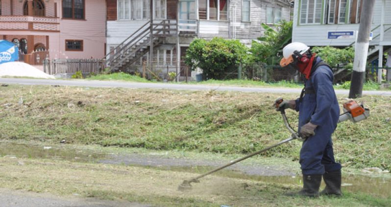 A grass cutter doing some sprucing up on Irving Street (photo by Delano Williams)