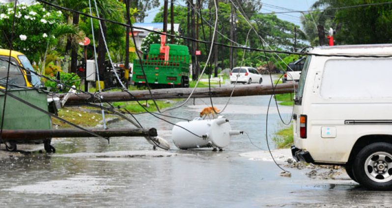 Downed power lines and transformer outside ‘Johnny P’ on Aubrey Barker Road, South Ruimveldt (Photo by Samuel Maughn)