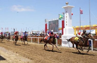 All eyes will be on top horses at Rising Sun Turf Club