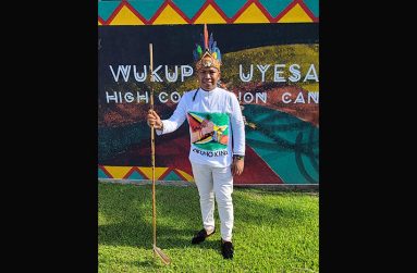 Youth Parliamentarian Calvin Roberts