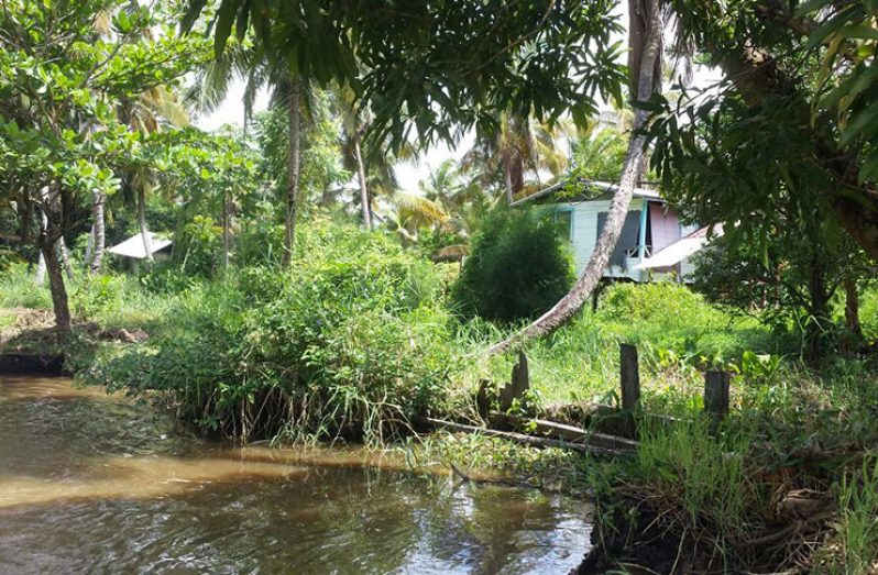 The area at Friendship Canal where the incident occurred