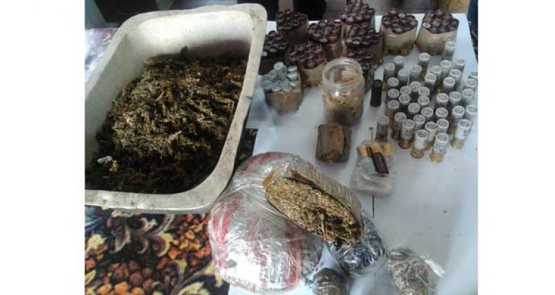 Canje find: shotgun cartridges and dried cannabis sativa (marijuanna).