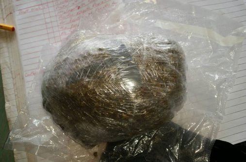 The suspected cannabis that was found