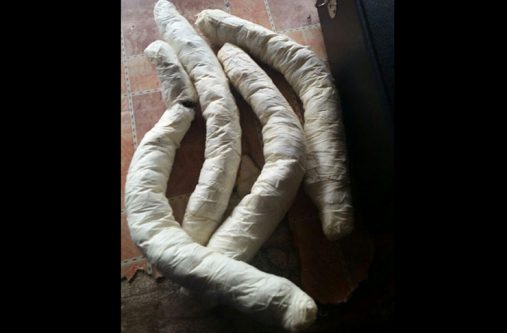 One of the compressed parcels of  the cannabis