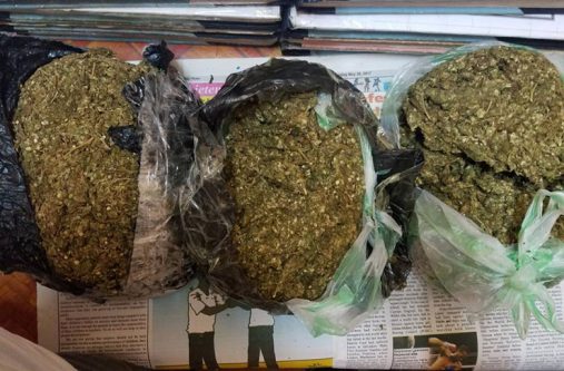 The cannabis which was found in the woman’s possession