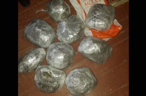 The seized compressed cannabis