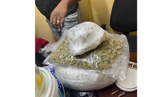 The cannabis discovered by the police