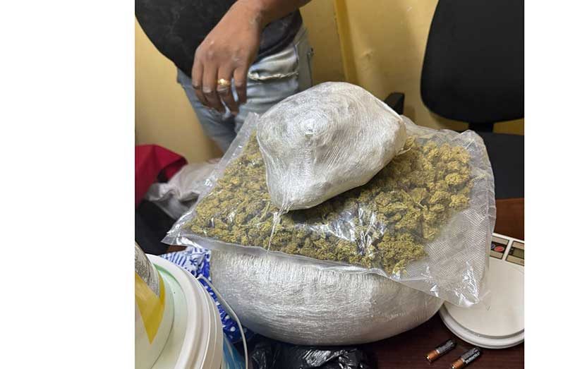 The cannabis discovered by the police