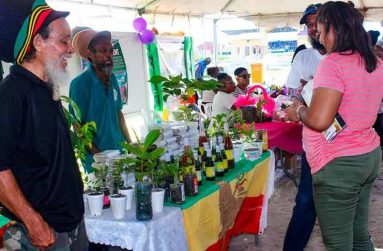 Exhibitors interacting with patrons at a previous 'Uncapped'