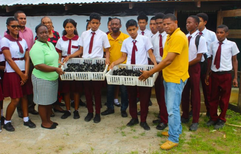 Students and teachers of Three Miles Secondary School posing with their new stock of dual-purpose birds donated by the Guyana Livestock Development Authority (GLDA)