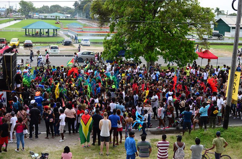Hundreds turned out to fete at the Guyana Carnival parade on Saturday