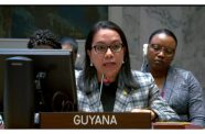 Guyana's Permanent Representative to the United Nations, Ambassador Carolyn Rodrigues-Birkett