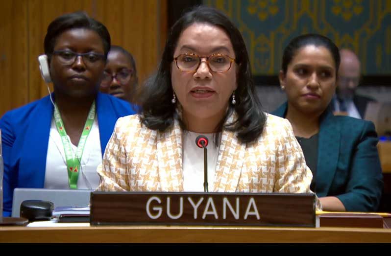 Permanent Representative of Guyana to the United Nations, Carolyn Rodrigues-Birkett