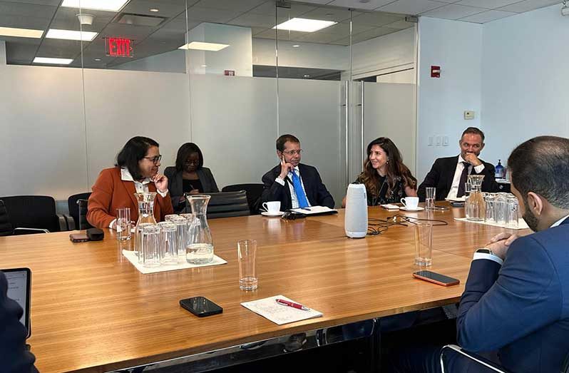 Guyana's candidate for United Nations Secretary-General, Ambassador Carolyn Rodrigues-Birkett, continued her global campaign on Monday with an engagement before the Princeton Group