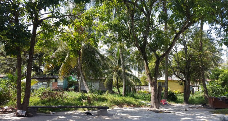 The plot of land which Luke Latiff occupied before he took his own life