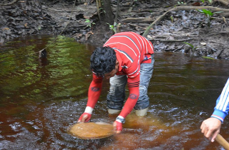 One of the casual workers assisting in the collection of sediment samples