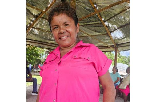 CDC Chairperson Catherine Alfred