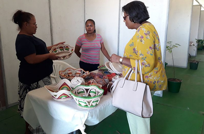 Minister of Public Telecommunications, Cathy Hughes interacting on Saturday with an exhibitor at the RACE exhibition