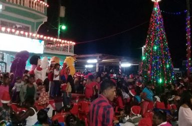 Children gathered at G&P Jaigobin’s Christmas tree light up