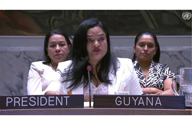 Minister of Human Services and Social Security Dr. Vindhya Persaud at the United Nations Security Council