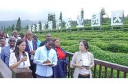 African officials visit a modern tea plantation in Leshan, southwest China's Sichuan province, during the first Seminar on Poverty Reduction and Development for African Officials held in May this year