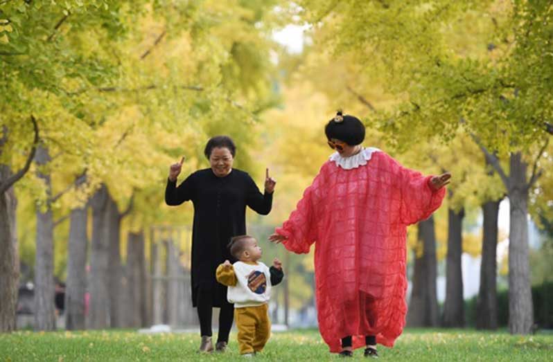 A family enjoys the ginkgo trees in downtown Beijing. [Photo by WEI XIAOHAO/CHINA DAILY]