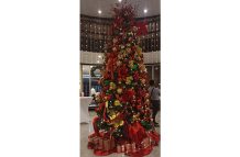 Christmas Tree is a must in Guyana at Christmastime