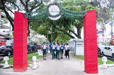 The Scenery at Christmas Village  2022 ( Photo by Delano Williams )