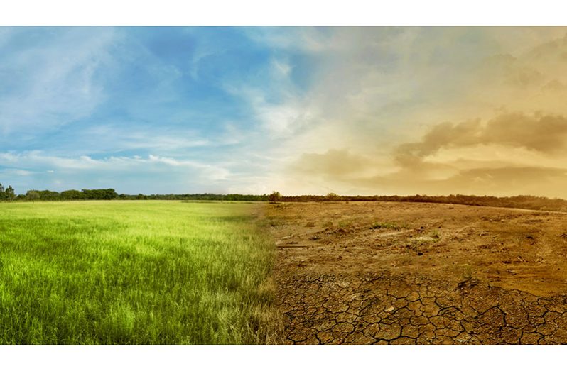Climate