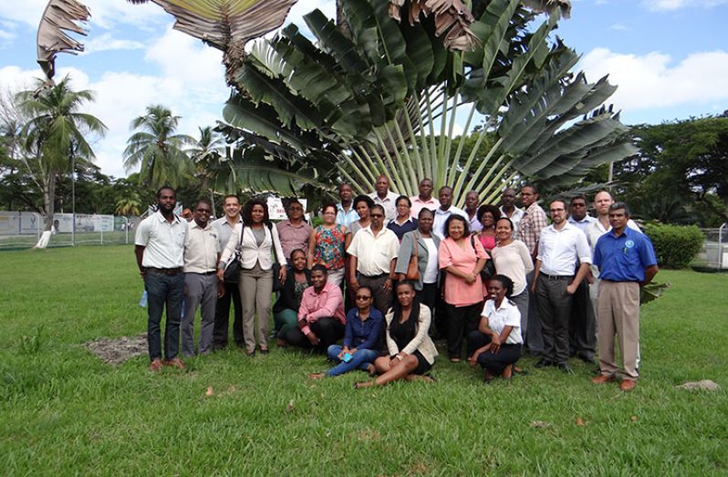 Guyanese pose with their Surinamese counterparts at the conclusion of the three-day risk-mapping workshop